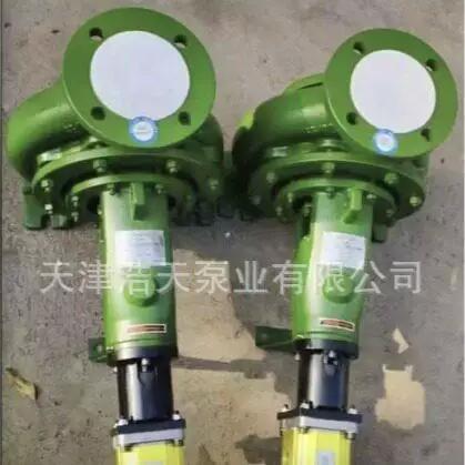 TDLY液压离心泵 多介质输送的全能选手